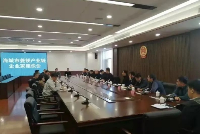 海城市召开菱镁产业链企业家座谈会