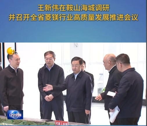 省委副书记、省长王新伟在海城专调研并召开...